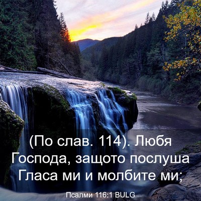 Picture 03 - Псалми 116:1 BULG - (По слав. 114). Любя Господа, - Bible Verse Picture