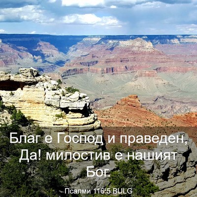 Picture 03 - Псалми 116:5 BULG - Благ е Господ и праведен, - Bible Verse Picture