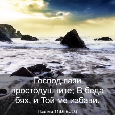 Picture 03 - Псалми 116:6 BULG - Господ пази простодушните; - Bible Verse Picture