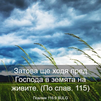 Picture 03 - Псалми 116:9 BULG - Затова ще ходя пред - Bible Verse Picture