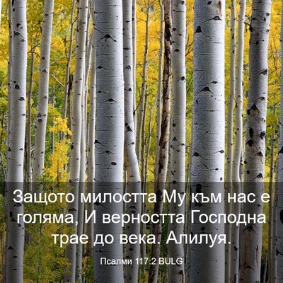 Picture 03 - Псалми 117:2 BULG - Защото милостта Му към нас - Bible Verse Picture