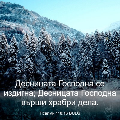 Picture 03 - Псалми 118:16 BULG - Десницата Господна се - Bible Verse Picture