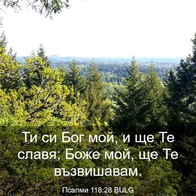 Picture 03 - Псалми 118:28 BULG - Ти си Бог мой, и ще Те славя; - Bible Verse Picture