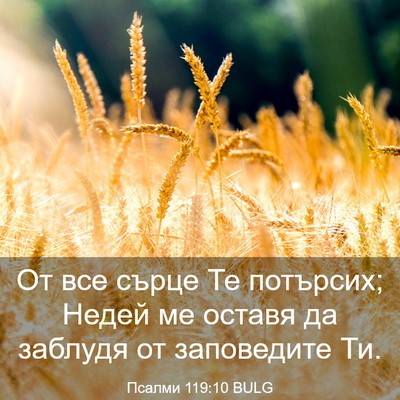 Picture 03 - Псалми 119:10 BULG - От все сърце Те потърсих; - Bible Verse Picture
