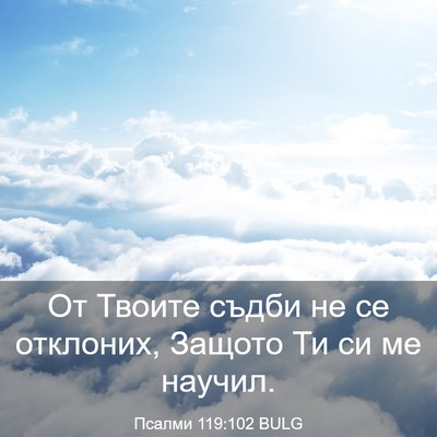 Picture 03 - Псалми 119:102 BULG - От Твоите съдби не се - Bible Verse Picture