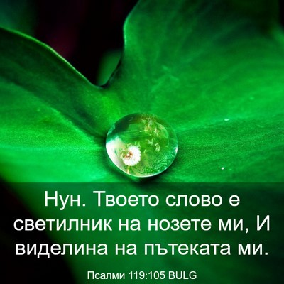 Picture 03 - Псалми 119:105 BULG - Нун. Твоето слово е - Bible Verse Picture