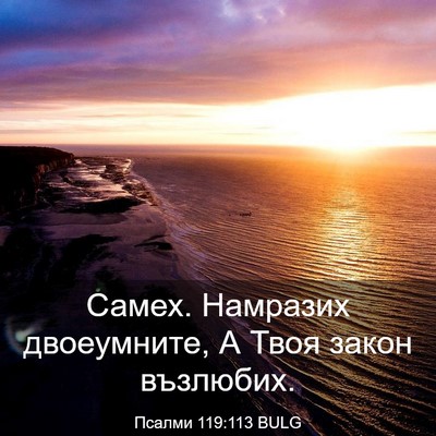 Picture 03 - Псалми 119:113 BULG - Самех. Намразих - Bible Verse Picture