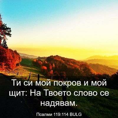 Picture 03 - Псалми 119:114 BULG - Ти си мой покров и мой щит: - Bible Verse Picture