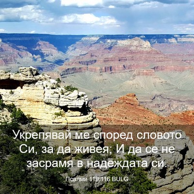 Picture 03 - Псалми 119:116 BULG - Укрепявай ме според - Bible Verse Picture