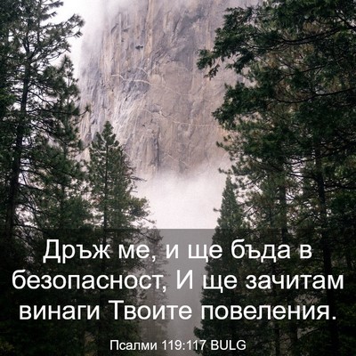 Picture 03 - Псалми 119:117 BULG - Дръж ме, и ще бъда в - Bible Verse Picture