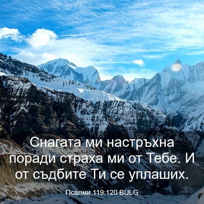 Picture 03 - Псалми 119:120 BULG - Снагата ми настръхна - Bible Verse Picture
