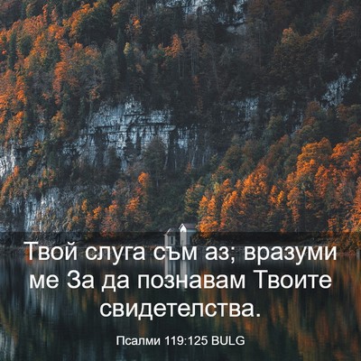 Picture 03 - Псалми 119:125 BULG - Твой слуга съм аз; вразуми - Bible Verse Picture