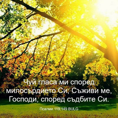 Picture 03 - Псалми 119:149 BULG - Чуй гласа ми според - Bible Verse Picture