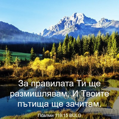 Picture 03 - Псалми 119:15 BULG - За правилата Ти ще - Bible Verse Picture