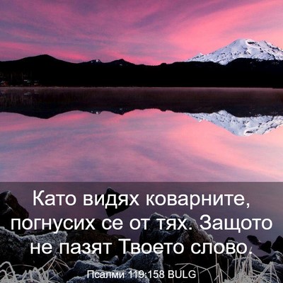 Picture 03 - Псалми 119:158 BULG - Като видях коварните, - Bible Verse Picture
