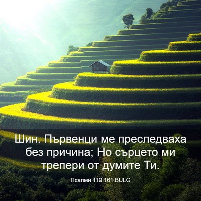 Picture 03 - Псалми 119:161 BULG - Шин. Първенци ме - Bible Verse Picture