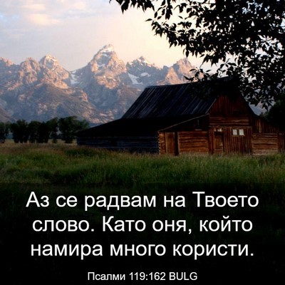 Picture 03 - Псалми 119:162 BULG - Аз се радвам на Твоето - Bible Verse Picture