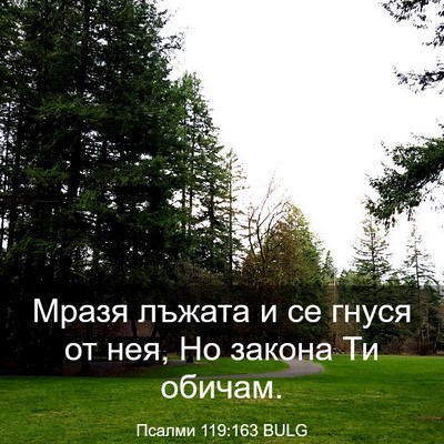 Picture 03 - Псалми 119:163 BULG - Мразя лъжата и се гнуся от - Bible Verse Picture