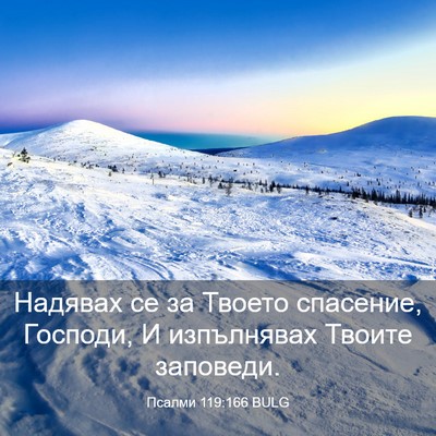 Picture 03 - Псалми 119:166 BULG - Надявах се за Твоето - Bible Verse Picture
