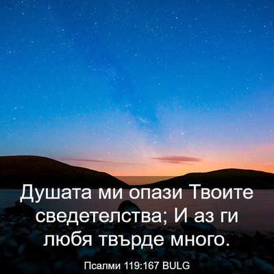 Picture 03 - Псалми 119:167 BULG - Душата ми опази Твоите - Bible Verse Picture