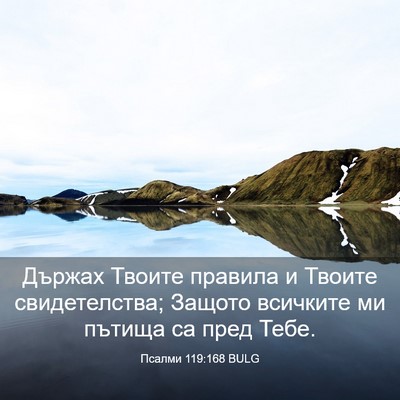 Picture 03 - Псалми 119:168 BULG - Държах Твоите правила и - Bible Verse Picture