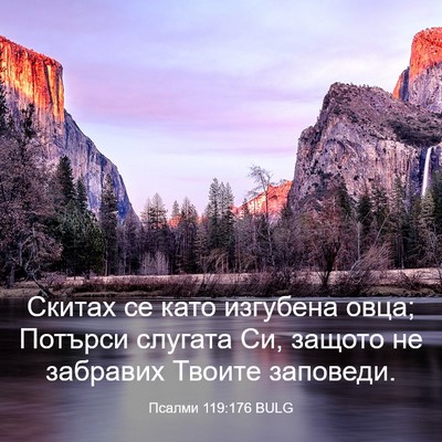 Picture 03 - Псалми 119:176 BULG - Скитах се като изгубена - Bible Verse Picture