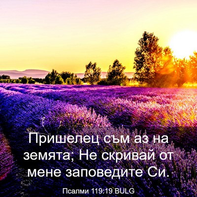 Picture 03 - Псалми 119:19 BULG - Пришелец съм аз на земята; - Bible Verse Picture