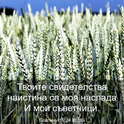 Picture 03 - Псалми 119:24 BULG - Твоите свидетелства - Bible Verse Picture