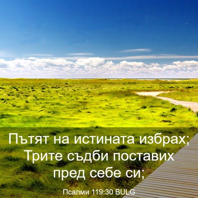 Picture 03 - Псалми 119:30 BULG - Пътят на истината избрах; - Bible Verse Picture
