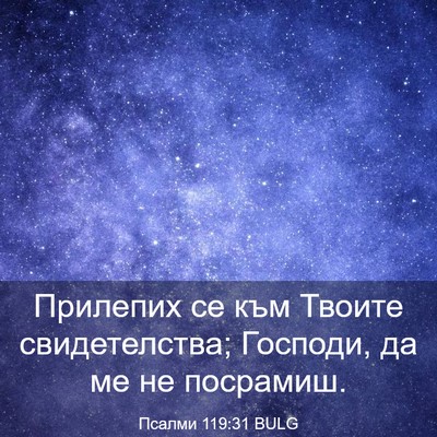 Picture 03 - Псалми 119:31 BULG - Прилепих се към Твоите - Bible Verse Picture