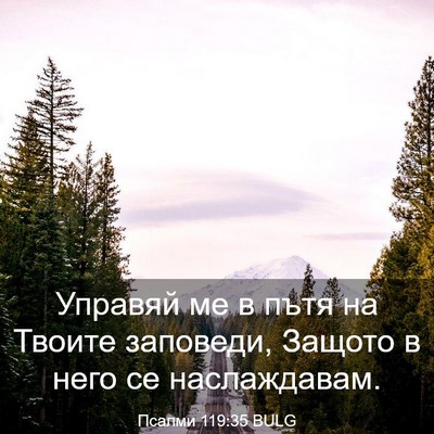 Picture 03 - Псалми 119:35 BULG - Управяй ме в пътя на Твоите - Bible Verse Picture