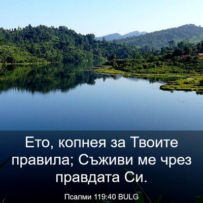 Picture 03 - Псалми 119:40 BULG - Ето, копнея за Твоите - Bible Verse Picture