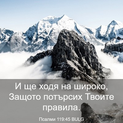 Picture 03 - Псалми 119:45 BULG - И ще ходя на широко, Защото - Bible Verse Picture