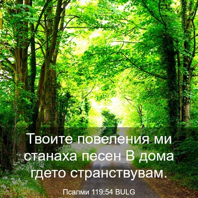 Picture 03 - Псалми 119:54 BULG - Твоите повеления ми - Bible Verse Picture