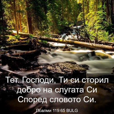Picture 03 - Псалми 119:65 BULG - Тет. Господи, Ти си сторил - Bible Verse Picture