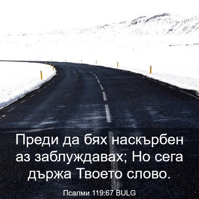 Picture 03 - Псалми 119:67 BULG - Преди да бях наскърбен аз - Bible Verse Picture