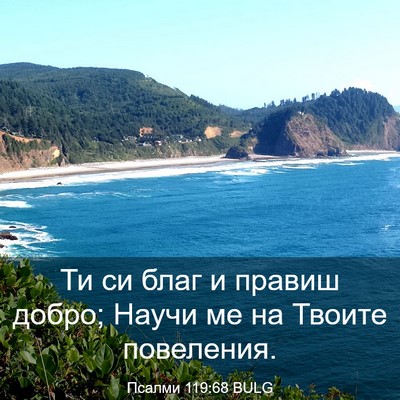 Picture 03 - Псалми 119:68 BULG - Ти си благ и правиш добро; - Bible Verse Picture