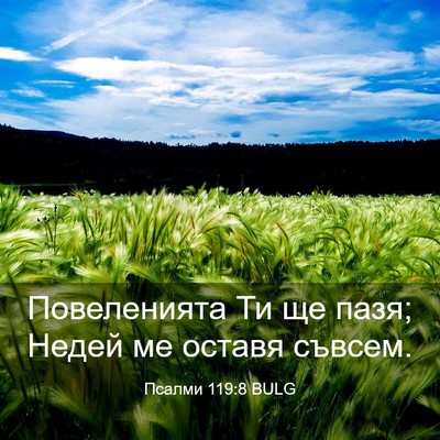 Picture 03 - Псалми 119:8 BULG - Повеленията Ти ще пазя; - Bible Verse Picture