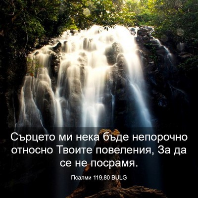 Picture 03 - Псалми 119:80 BULG - Сърцето ми нека бъде - Bible Verse Picture