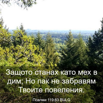 Picture 03 - Псалми 119:83 BULG - Защото станах като мех в - Bible Verse Picture