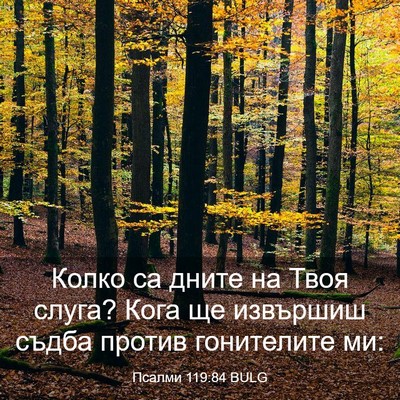 Picture 03 - Псалми 119:84 BULG - Колко са дните на Твоя - Bible Verse Picture