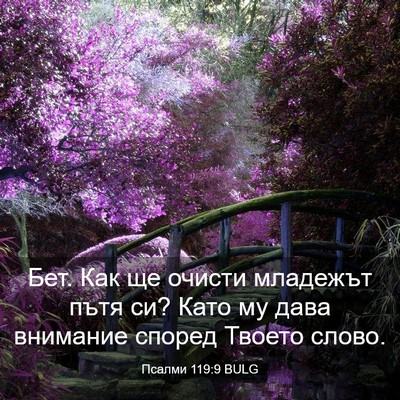 Picture 03 - Псалми 119:9 BULG - Бет. Как ще очисти младежът - Bible Verse Picture