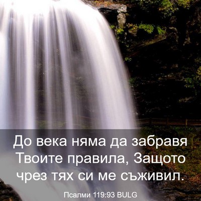 Picture 03 - Псалми 119:93 BULG - До века няма да забравя - Bible Verse Picture