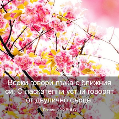 Picture 03 - Псалми 12:2 BULG - Всеки говори лъжа с - Bible Verse Picture