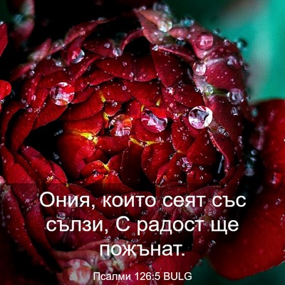Picture 03 - Псалми 126:5 BULG - Ония, които сеят със сълзи, - Bible Verse Picture