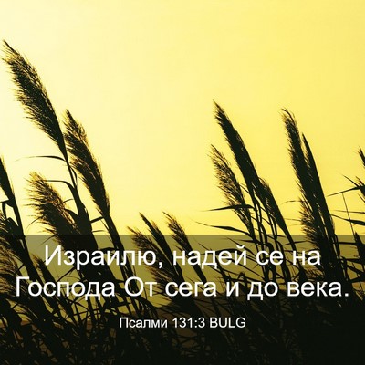 Picture 03 - Псалми 131:3 BULG - Израилю, надей се на - Bible Verse Picture