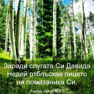 Picture 03 - Псалми 132:10 BULG - Заради слугата Си Давида - Bible Verse Picture
