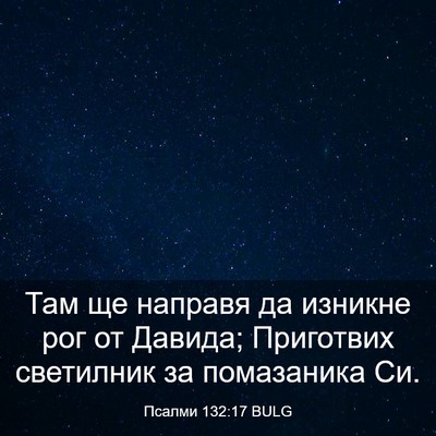 Picture 03 - Псалми 132:17 BULG - Там ще направя да изникне - Bible Verse Picture