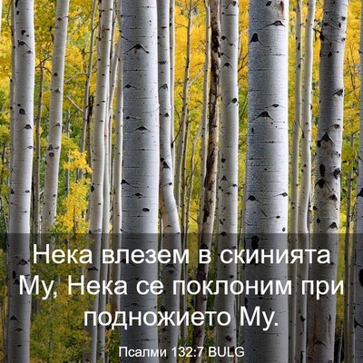 Picture 03 - Псалми 132:7 BULG - Нека влезем в скинията Му, - Bible Verse Picture