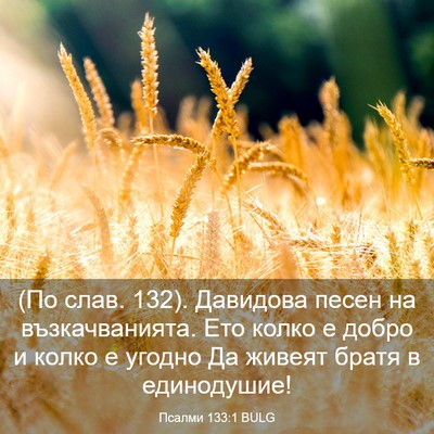 Picture 03 - Псалми 133:1 BULG - (По слав. 132). Давидова песен - Bible Verse Picture